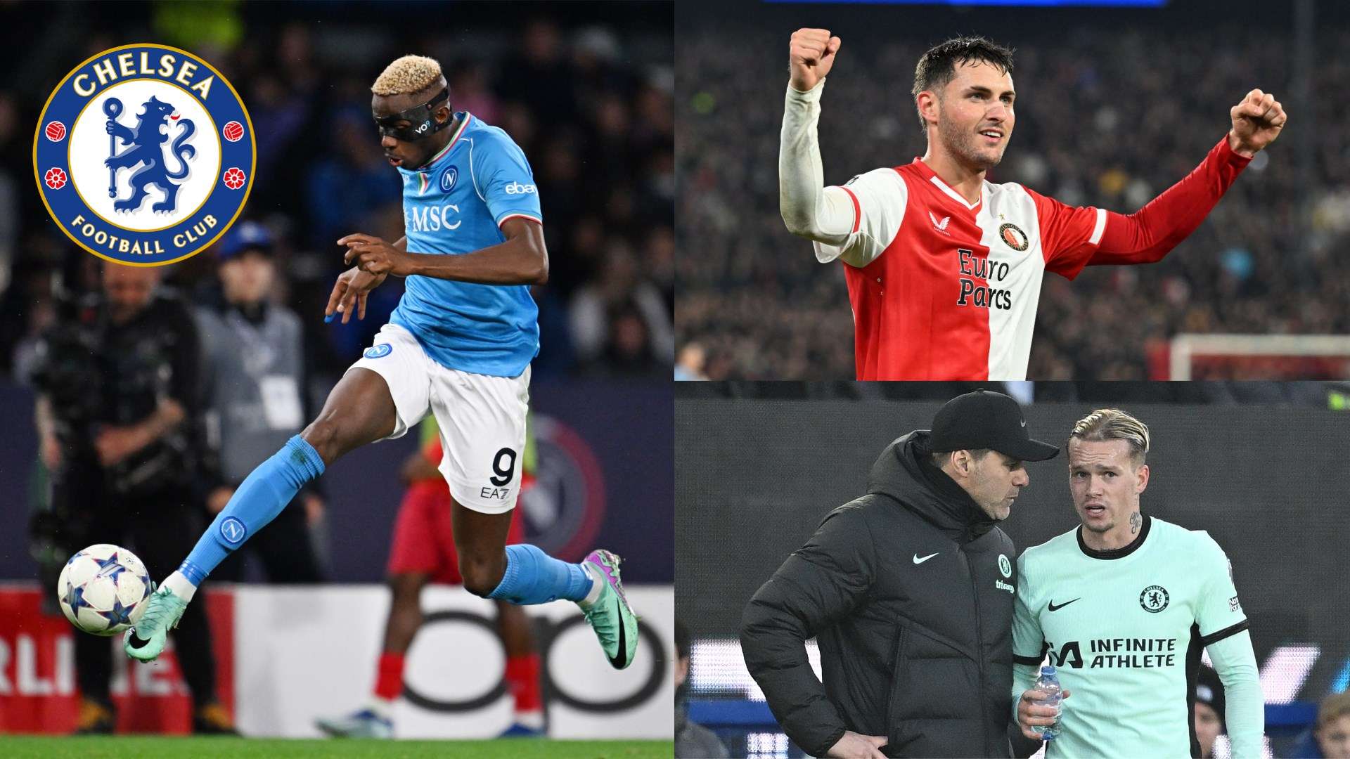 无论是菲尔 无论是菲尔