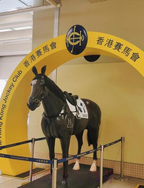香港赛区一张门票可看多场比赛 香港赛区一张门票可看多场比赛